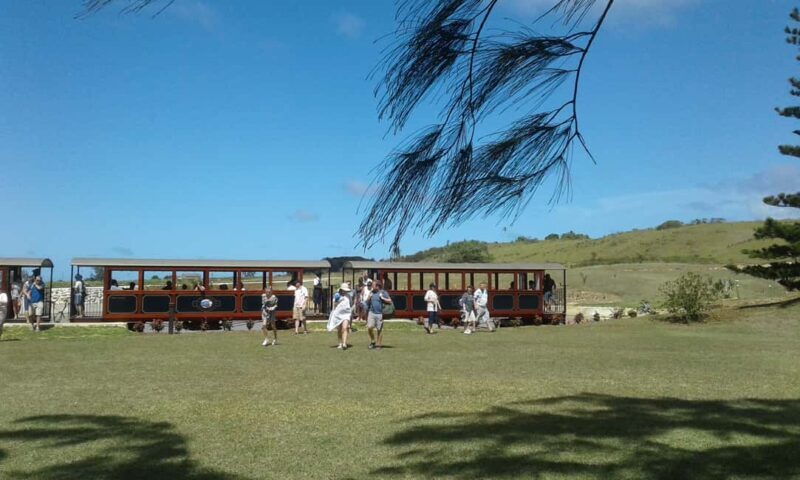 Barbados: 4 Hour Private Customized Island Tour - Final Thoughts