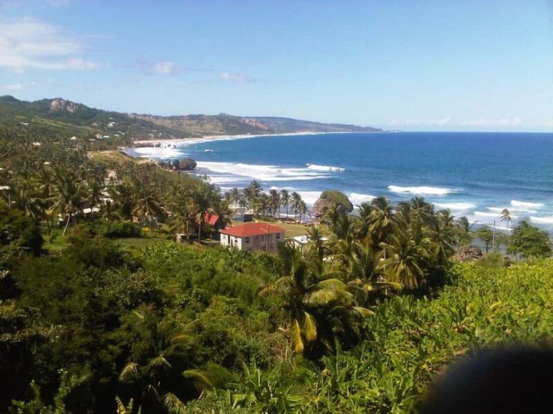 Barbados: 5.5-Hour Island Tour Plantation, Lunch and Drinks - Authentic Experiences and Local Flavor