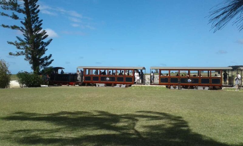 Barbados: 5.5-Hour Island Tour Plantation, Lunch and Drinks - Who Will Love This Tour?