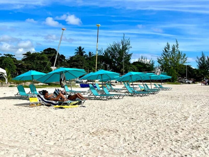 Barbados: Carlisle Bay Beach Day and Turtle Swim Experience - Key Points