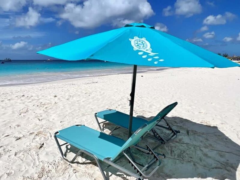 Barbados: Carlisle Bay Beach Day and Turtle Swim Experience - A Closer Look at Carlisle Bay and the Tour Itinerary