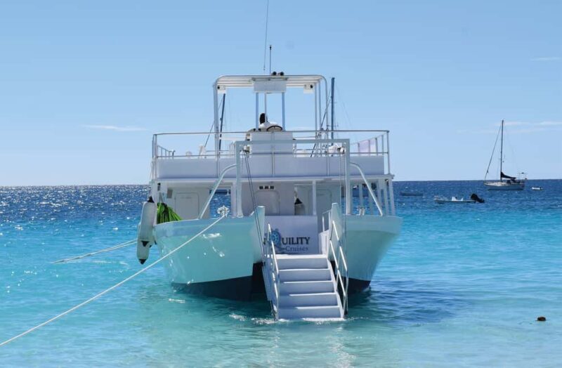 Barbados: Carlisle Bay Beach Day and Turtle Swim Experience - Final Verdict