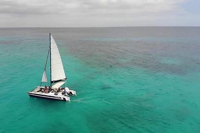 Barbados Catamaran Snorkel Cruise with Open Bar - An In-Depth Look at the Tour