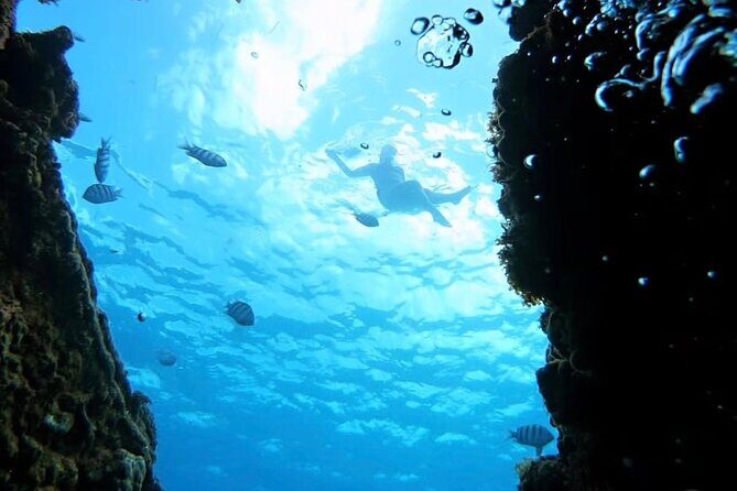 Barbados Catamaran Snorkeling Turtle and Shipwrecks tour - Authentic Traveler Feedback