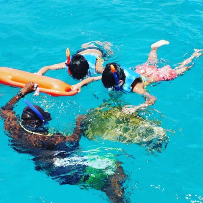Barbados: Catamaran Tour with Snorkeling and Lunch - Key Points