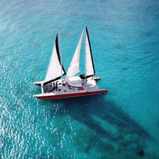 Barbados: Catamaran Tour with Snorkeling and Lunch - The Crew and Safety Standards