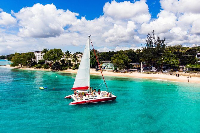Barbados Catamaran Turtle Snorkel with Open Bar - Who Will Love This Tour?