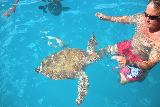 Barbados Catamaran Turtle Snorkel with Open Bar - Key Points