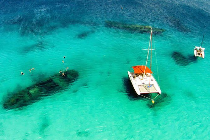 Barbados Catamaran Turtle Snorkel with Open Bar - What Travelers Say