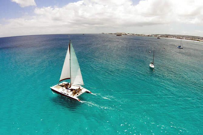 Barbados Catamaran Turtle Snorkel with Open Bar - The Sum Up: Who Is This Tour Perfect For?