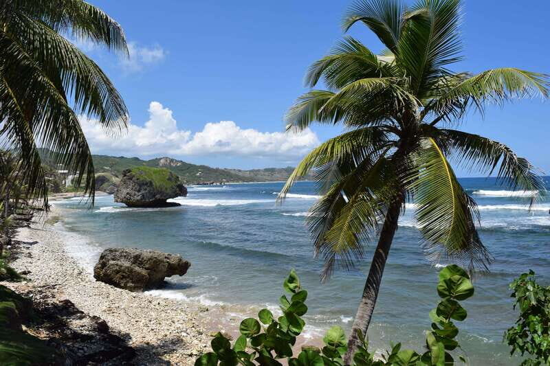 Barbados: Coastal Sightseeing Tour with Lunch and Transfers - Exploring the Details of the Tour: A Balanced View