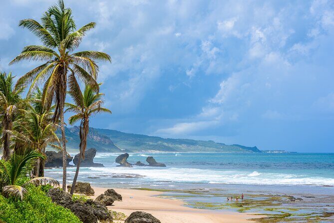 Barbados Coastal Tour - The Value for Money