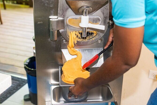 Barbados Fruit to Scoop Culinary Experience : Taste & Make Sorbet - What to Expect: A Taste of Barbados, from Fruit to Frozen Delight