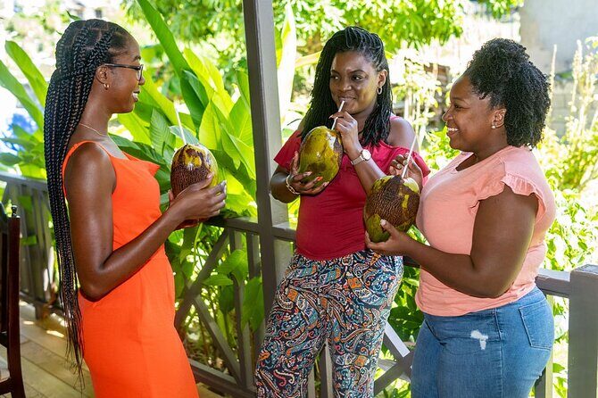 Barbados Fruit to Scoop Culinary Experience : Taste & Make Sorbet - Practical Tips for Participants