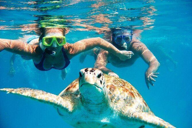 Barbados Glass Bottom Boat Cruise and Snorkeling - An In-Depth Look at the Barbados Glass Bottom Boat and Snorkeling Tour
