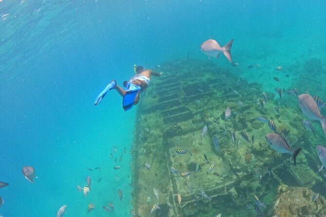 Barbados Glass Bottom Boat Cruise and Snorkeling - FAQ