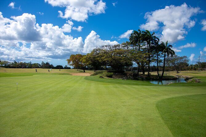 Barbados Golf Experience Pass Challenge and Fun Golf for All - Key Points