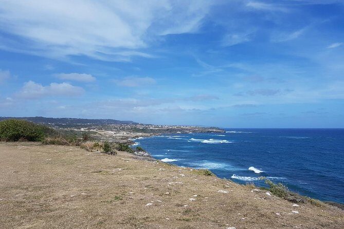 Barbados Half Day Coastal Sightseeing Private Tour - Who Should Consider This Tour?