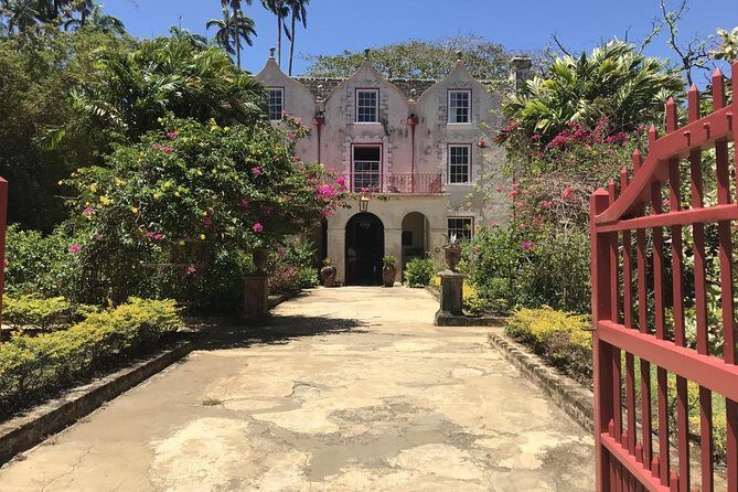 Barbados Half Day Private Tour - A Deep Dive into the Tour Experience