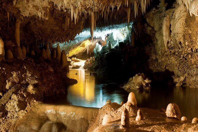 Barbados Harrison's Cave and St Nicolas Abbey Tour - Who Will Love This Tour?