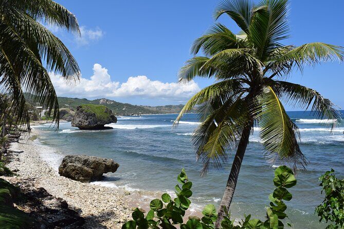 Barbados Highlights and Rum Tour - What’s the Value?