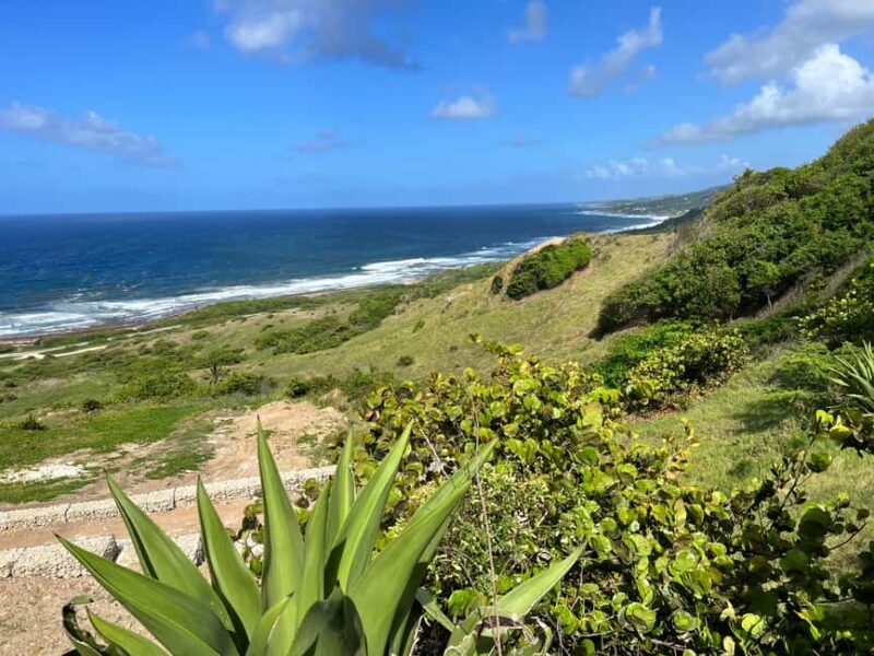 Barbados Highlights Tour - Key Points
