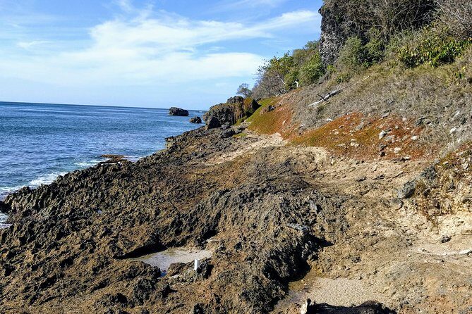 Barbados Hiking and Sightseeing Tour (Transport Included) - Why This Tour Is a Great Value