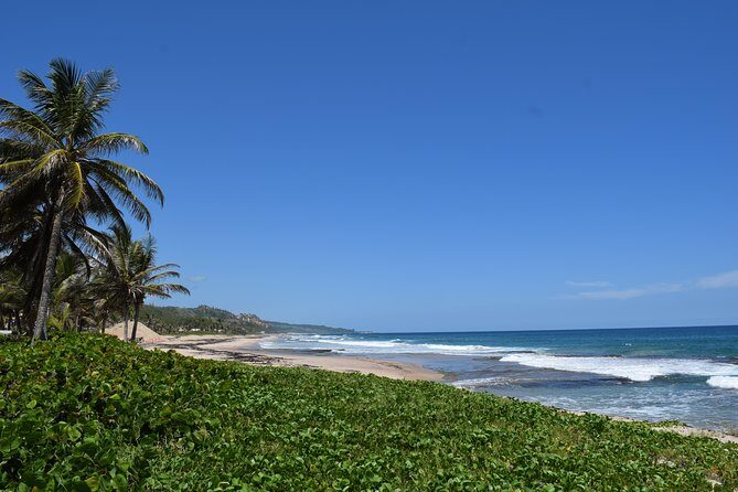 Barbados Island Highlights Half-Day Tour - Discover the Best of Barbados in Half a Day