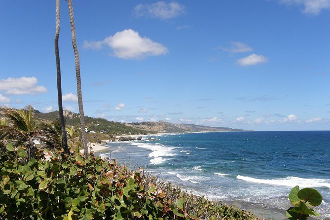 Barbados Island Tour, Monkey feeding & Swimming with the Turtles - FAQ