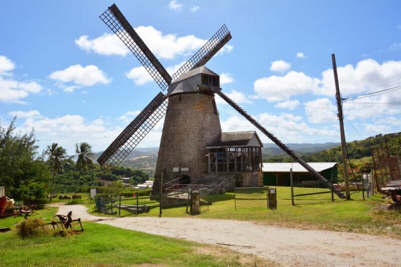 Barbados: Island Tour with Animal Flower Cave and Lunch - What Makes the Tour Stand Out?
