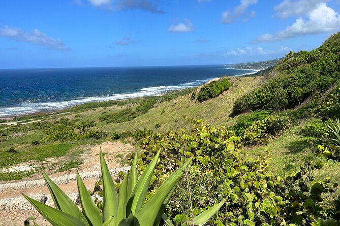 Barbados Paradise Tour with Hotel Transfers - Key Points