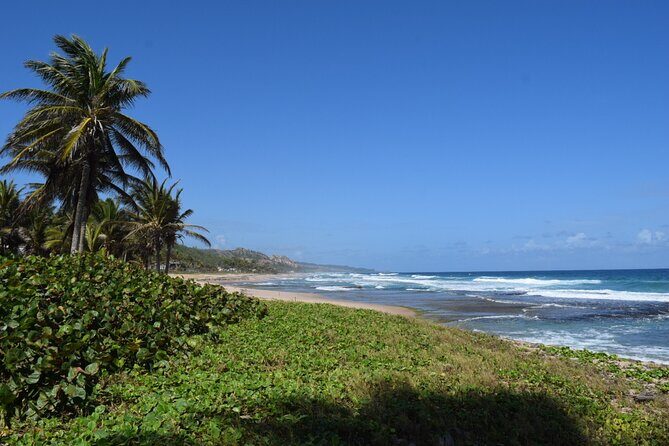 Barbados Paradise Tour with Hotel Transfers - Value and Practical Considerations