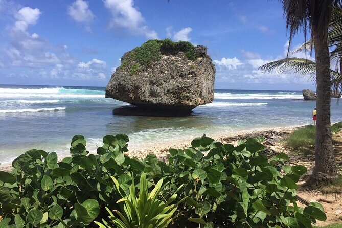 Barbados Paradise Tour with Hotel Transfers - Who Would Enjoy This Tour?