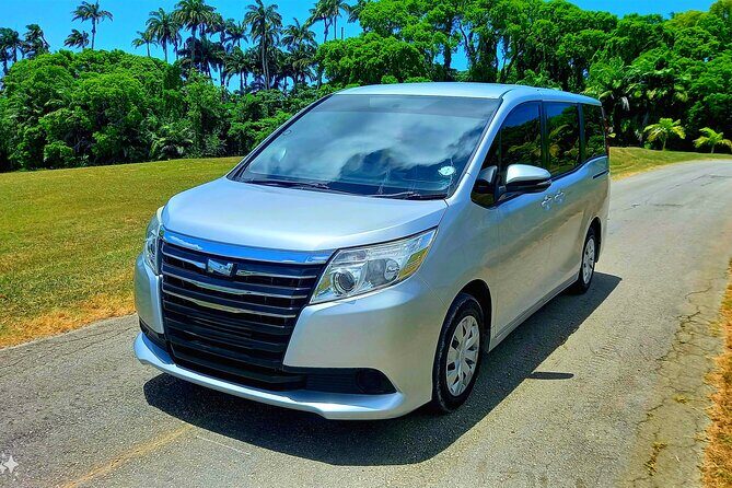 Barbados Private Cruise Port Transfer - The Experience: What To Expect