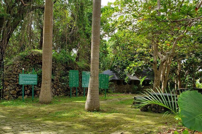 Barbados Private Custom Island Tour - Final Thoughts: Who Is This Tour Best For?