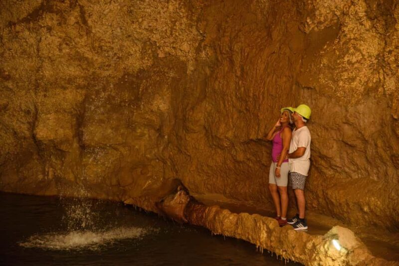 Barbados: Signature Park Pass & Gully Challenge Adventure - Final Thoughts