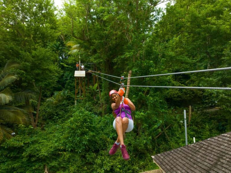 Barbados: Signature Park Pass & Monkey Zip Experience - A Practical Breakdown of the Itinerary