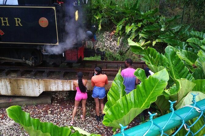 Barbados through the eyes of a local - A Closer Look at the Tour Experience