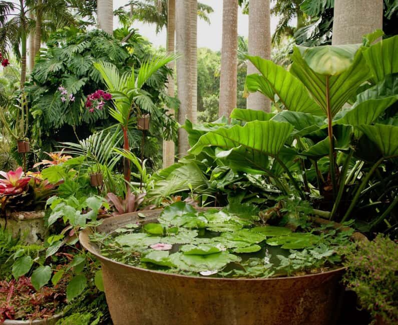 Barbados: Tour of Harrison's Cave & Hunte's Gardens - An In-Depth Look at the Tour Experience