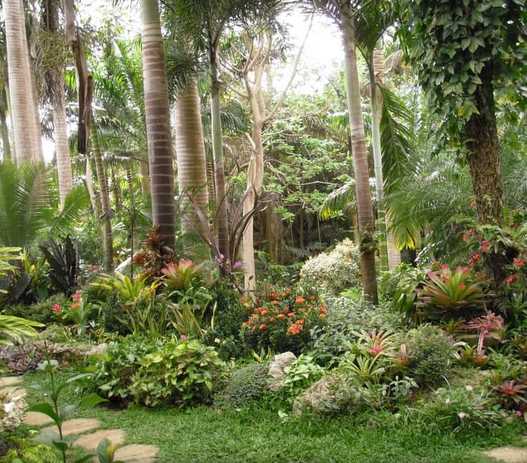 Barbados: Tour of Harrison's Cave & Hunte's Gardens - Things to Keep in Mind