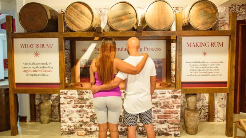 Barbados: Trail, Tram & Rum Experience - Practical Tips for Participants