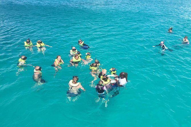 Barbados Turtle and Shipwreck Snorkel Adventure - Key Points