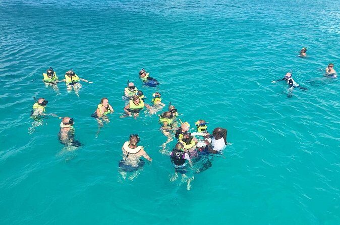 Barbados Turtle and Shipwreck Snorkel Adventure - Authentic Feedback from Travelers