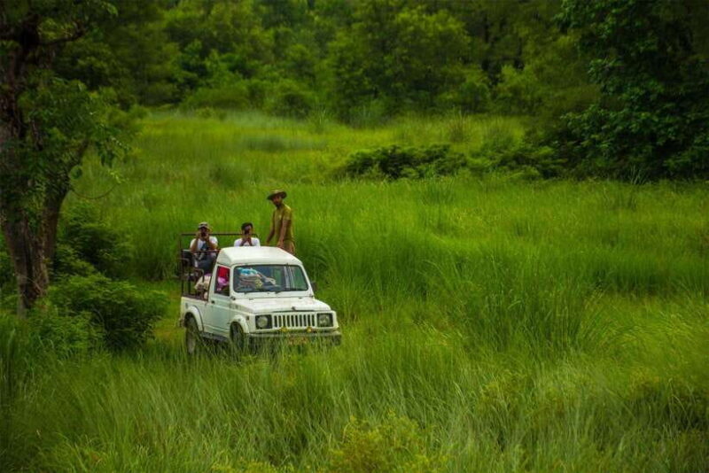 Bardiya National Park: Treehouse Stay with Wildlife Safari - An Authentic Wildlife Encounter in Nepal’s Bardiya National Park