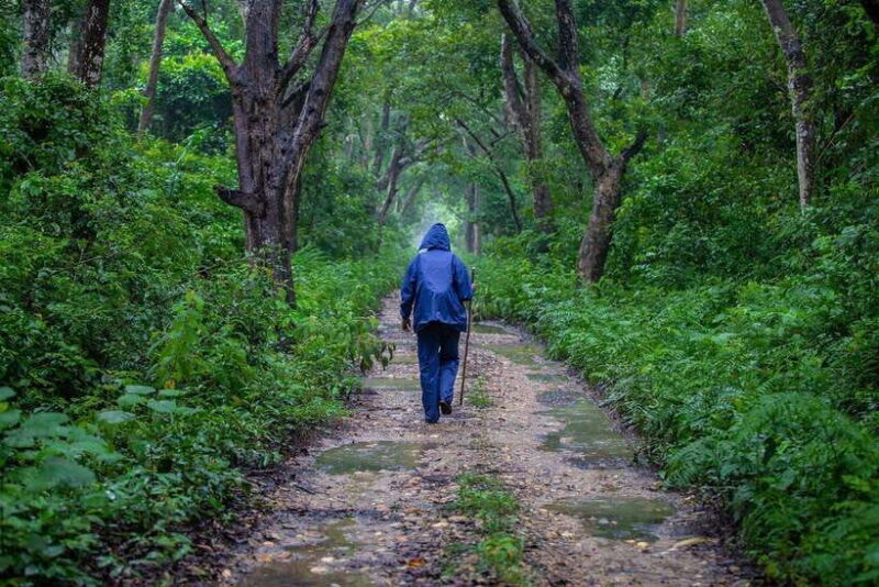 Bardiya National Park: Treehouse Stay with Wildlife Safari - Is the Price Justified?