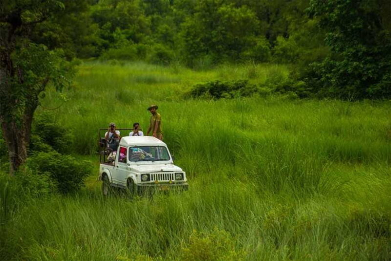 Bardiya National Park: Treehouse Stay with Wildlife Safari - Final Thoughts: Who Is This Tour For?