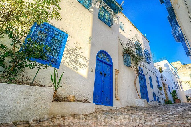 Bardo Museum- The ruins of Carthage- Village of Sidi Bou Said - Carthage: Ruins of an Ancient Powerhouse