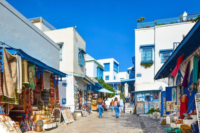 Bardo Museum with Medina, Carthage and Sidi Bou Private Tour - Key Points