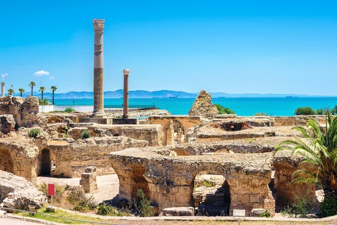 Bardo Museum with Medina, Carthage and Sidi Bou Private Tour - FAQ