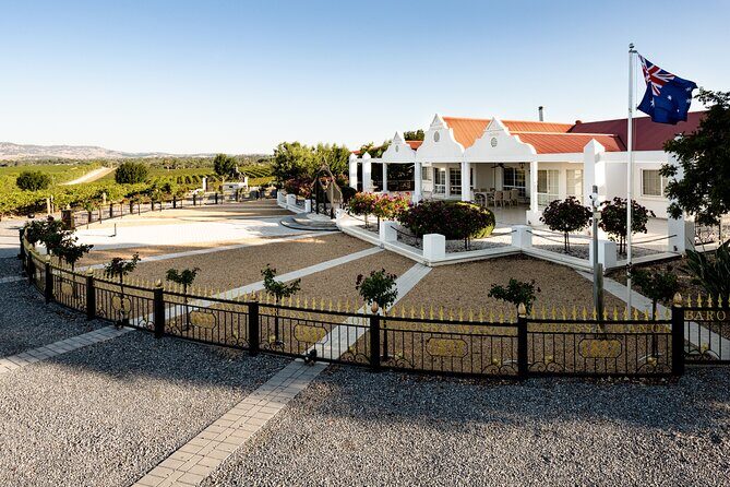 Barossa 4 Hours Wine Experience and Vineyard Walk with Lunch - What Others Are Saying
